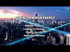 PVkingdom, penyedia layanan satu atap!